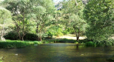 Alicin Kültürel Jeositi