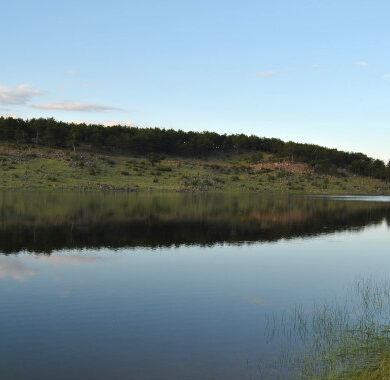 sorgungoleti