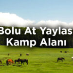 bolu-at-yaylasi-kamp-alani-kizilagil-koyu