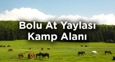 bolu-at-yaylasi-kamp-alani-kizilagil-koyu