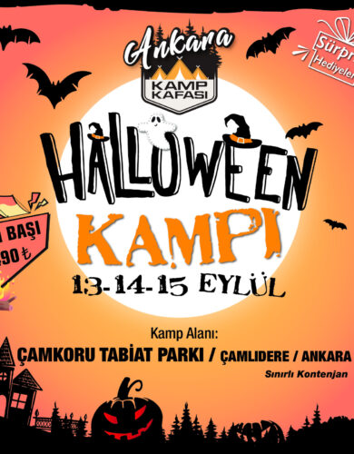 WhatsApp Image 2024-08-23 at 19.52.17 (2)